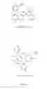Fig. 07 - Treatment of Synucleinopathies