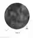 Fig. 06 - SCANNING FIBER-OPTIC NONLINEAR OPTICAL IMAGING AND SPECTROSCOPY ENDOSCOPE