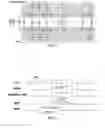 Fig. 02 - Synchronization of operations in distinct memory partitions