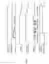 Fig. 02 - IMAGING APPARATUS AND IMAGING METHOD