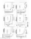 Fig. 02 - Antibodies that bind MMP-14