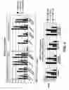 Fig. 06 - Antibodies that bind MMP-14