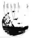 Fig. 02 - Medium for identification of 