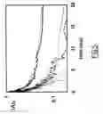 Fig. 09 - Method for producing red blood cells