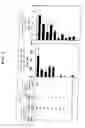 Fig. 02 - Novel Vaccine Containing Adjuvant Capable Of Inducing Mucosal Immunity
