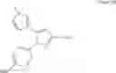 Fig. 80 - Amidopyrazole Derivative