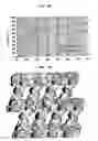 Fig. 06 - Organometallic Complex Structure and Production Method Thereof; and Functional Film, Functional Composite Material, Functional Structure and Adsorption and Desorption Sensor Using the Organometallic Complex Structure