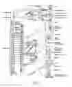 Fig. 02 - Electric modulation of sympathetic nervous system
