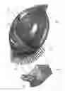 Fig. 02 - Enhancement of lens regeneration using materials comprising polysiloxane polymers