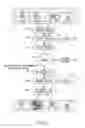 Fig. 20 - Image commercial transactions system and method