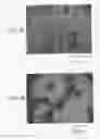 Fig. 04 - Method for producing silicon carbide (SiC) single crystal and silicon carbide (SiC) single crystal obtained by such method