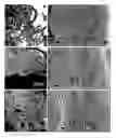 Fig. 01 - Device and method for achieving enhanced field emission utilizing nanostructures grown on a conductive substrate