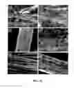 Fig. 13 - Device and method for achieving enhanced field emission utilizing nanostructures grown on a conductive substrate