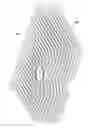 Fig. 01 - Visual Display