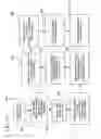 Fig. 16 - Combination vertical and lateral flow immunoassay device