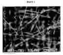 Fig. 02 - Sealants for Skin and Other Tissues