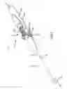 Fig. 02 - Auto lock for catheter handle