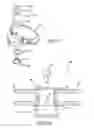 Fig. 10 - Auto lock for catheter handle