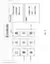 Fig. 75 - Systems and methods for managing and distributing media content