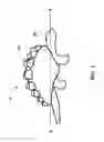 Fig. 02 - Pet chew with rigid hollow base and fabric elements