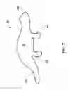 Fig. 08 - Pet chew with rigid hollow base and fabric elements