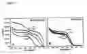 Fig. 08 - Redox potential mediated carbon nanotubes biosensing in homogeneous format
