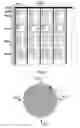Fig. 11 - Parallel electron beam lithography stamp (PEBLS)