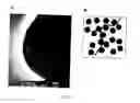 Fig. 03 - Fabrication of reinforced composite material comprising carbon nanotubes, fullerenes, and vapor-grown carbon fibers for thermal barrier materials, structural ceramics, and multifunctional nanocomposite ceramics