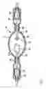 Fig. 02 - Discharge lamp having a cathode and emitter assembly composed of tungsten and thorium oxide and joined through a carbide interface region