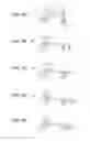 Fig. 07 - Thermal activation device, printing device, and printer