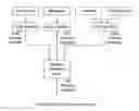 Fig. 01 - METHODS OF ESTABLISHING A COMMUNICATIONS LINK USING PERCEPTUAL SENSING OF A USER'S PRESENCE