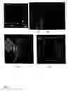 Fig. 09 - Far-field optical microscope with a nanometer-scale resolution based on the in-plane image magnification by surface plasmon polaritions