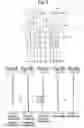 Fig. 04 - Intermediate telephoto lens system