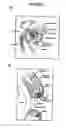 Fig. 02 - Compositons and methods for maintaining eyelid hygiene
