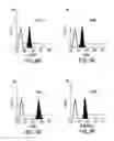 Fig. 07 - METHODS OF ISOLATING BIPOTENT HEPATIC PROGENITOR CELLS