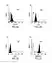 Fig. 08 - METHODS OF ISOLATING BIPOTENT HEPATIC PROGENITOR CELLS