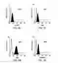 Fig. 09 - METHODS OF ISOLATING BIPOTENT HEPATIC PROGENITOR CELLS