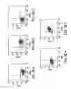 Fig. 11 - METHODS OF ISOLATING BIPOTENT HEPATIC PROGENITOR CELLS