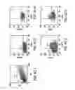 Fig. 12 - METHODS OF ISOLATING BIPOTENT HEPATIC PROGENITOR CELLS