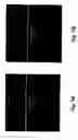 Fig. 13 - Nanospearing for molecular transportation into cells