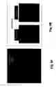 Fig. 15 - Nanospearing for molecular transportation into cells