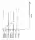 Fig. 06 - Coaxial catheter system