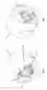 Fig. 02 - Workpiece gripping apparatus