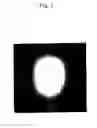 Fig. 08 - Wavelength converting devices