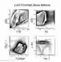 Fig. 01 - Methods and compositions for enhancing engraftment of hematopoietic stem cells