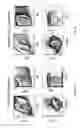 Fig. 02 - Methods and compositions for enhancing engraftment of hematopoietic stem cells