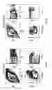 Fig. 08 - Methods and compositions for enhancing engraftment of hematopoietic stem cells