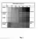 Fig. 02 - Multi-functional bioactive wound dressing