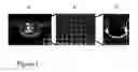 Fig. 02 - Particle patterning chip