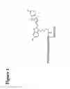 Fig. 02 - Fluorescent ligands for GPCR arrays